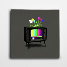 Dekolata Televizyon Kare Kanvas Tablo