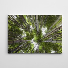 Dekolata Bambular Kanvas Tablo