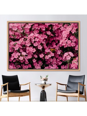 Kayra Export 1 Parça Naturel Çerçeveli Kanvas Tablo Çiçek Baskılı Pembe Baskılı Botanik Sanat