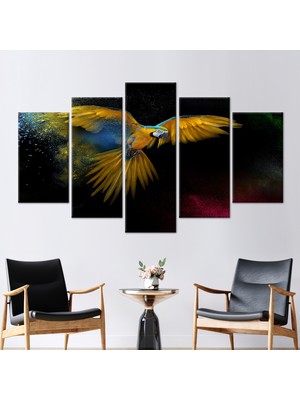 Kayra Export 5 Parçalı Mix Kanvas Tablo Renkli Kuş Kanvas Poster Renkli Papağan 3 Boyutlu Kanvas