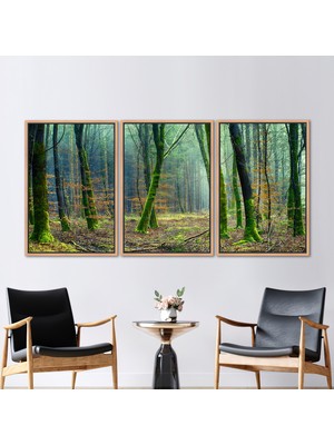 Kayra Export 3 Parçalı Naturel Çerçeveli Kanvas Tablo Ağaç Manzarası Sanat Eseri Orman Hediye Kanvas