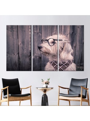 Kayra Export 3 Parçalı Kanvas Tablo Gözlüklü Köpek Duvar Dekoru Çağdaş Kanvas Köpek Kanvas Sanatı