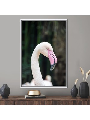 Kayra Export 1 Parça Beyaz Çerçeveli Kanvas Tablo Beyaz Flamingo Kanvas Sanatı Pembe Flamingo Kanvas