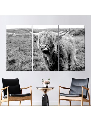 Kayra Export 3 Parçalı Kanvas Tablo Longhorn Boğa Kanvas Baskı Hayvan Kanvas Sığır Duvar Dekoru