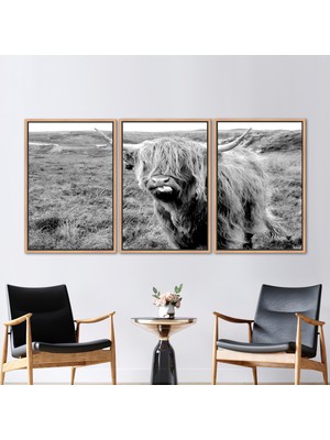 Kayra Export 3 Parçalı Naturel Çerçeveli Kanvas Tablo Longhorn Boğa Sanat Amerikan Bizon Kanvas Baskı