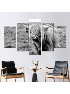 Kayra Export 5 Parçalı Mix Kanvas Tablo Hayvan Duvar Dekoru Vahşi Boğa Duvar Süsü