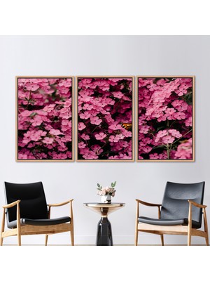 Kayra Export 3 Parçalı Naturel Çerçeveli Kanvas Tablo Çiçek Sevgilisi Hediyesi Baskılı