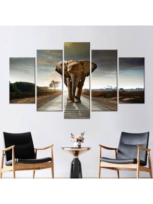 Kayra Export 5 Parçalı Mix Kanvas Tablo Vahşi Kanvas Poster Fil Yolda Sanat Hayvan Sanat Yalnız Fil Kanvas