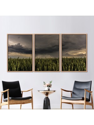 Kayra Export 3 Parçalı Naturel Çerçeveli Kanvas Tablo Tarla Kanvas Dekor Yağmurlu Kanvas