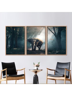 Kayra Export 3 Parçalı Naturel Çerçeveli Kanvas Tablo Fil Duvar Dekoru Orman Kanvas Dekor