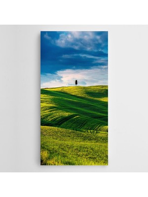 Dekolata Doğa Manzara Yeşillikte Uzak Ağaç Kanvas Tablo