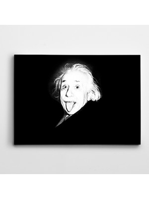 Dekolata Einstein Siyah Beyaz Kanvas Tablo