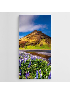 Dekolata Çiçekler Dağ Gökyüzü Panoramik Kanvas Tablo