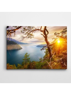 Dekolata Ormanda Gün Batımı Kanvas Tablo