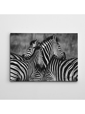 Dekolata Zebralar Kanvas Tablo