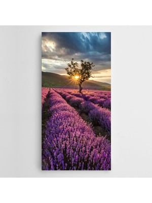 Dekolata Lavantalar Ağaç Gün Batımı Kanvas Tablo