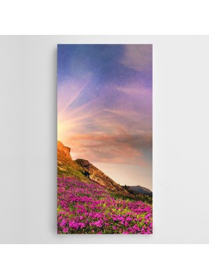 Dekolata Çiçekler ve Yıldızlar Panoramik Kanvas Tablo