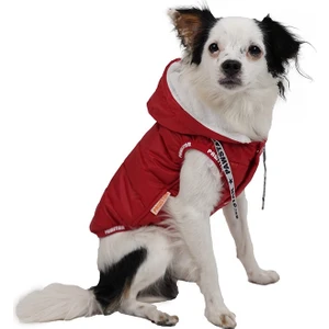 Sport Küçük Köpek Yağmurluğu Kırmızı