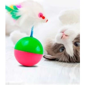 Hayvan Eğitim Kiti Hacı Yatmaz