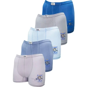 5'li Balık Baskılı Erkek Çocuk Likralı Renkli Boxer