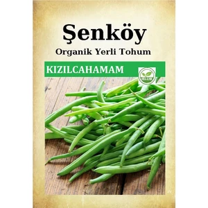 Sırık Kızılcahamam Mor Fasulye Tohumu Doğal Ata Kılçıksız  Fasulye Tohumu Pakette 25 gr
