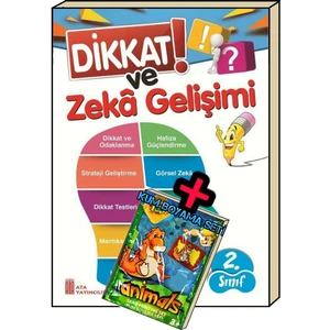 2. Sınıf Dikkat Ve Zeka Gelişimi