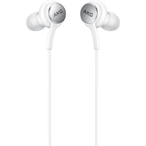 EO-IC100B Type C Kablolu Kulaklık  (Samsung Türkiye Garantilidir)