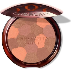 Terracotta Bronze Powder Light 05