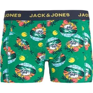 Jack & Jones Yeşil Erkek Boxer 12222370