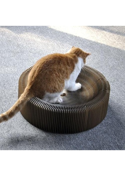 Scratcher Tahtası Yavru Pençe Bakım Ürün Tırlanma Kurulu Kedi Paw Öğütücü Rubs Pet Sarf Malzemeleri Robs Çizik Yuva | Mobilya ve çizikler (Yurt Dışından) fiyatları