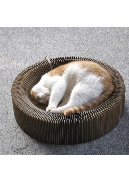 Scratcher Tahtası Yavru Pençe Bakım Ürün Tırlanma Kurulu Kedi Paw Öğütücü Rubs Pet Sarf Malzemeleri Robs Çizik Yuva | Mobilya ve çizikler (Yurt Dışından) modelleri