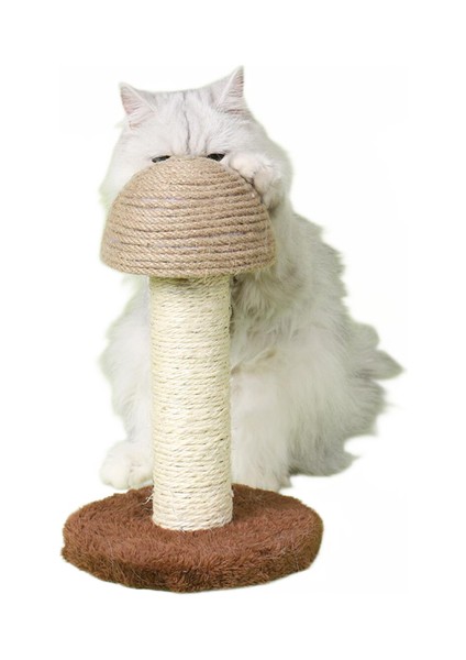 Ahşap Baz Pet Oyuncak Scratch Board Topu Komik Kedi Scratcher | Mobilya ve çizikler (Yurt Dışından)