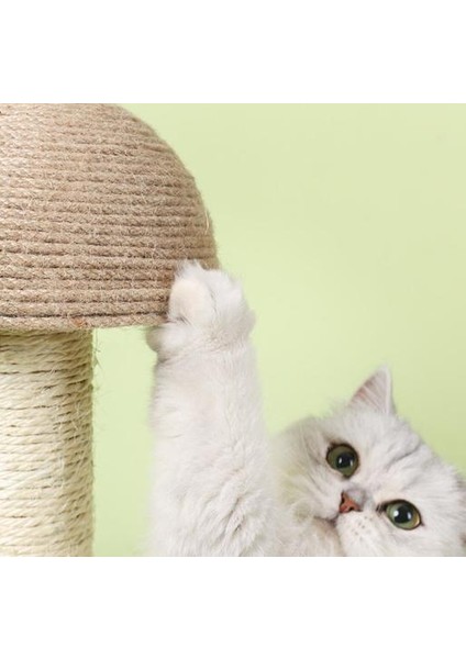 Ahşap Baz Pet Oyuncak Scratch Board Topu Komik Kedi Scratcher | Mobilya ve çizikler (Yurt Dışından) fiyatları