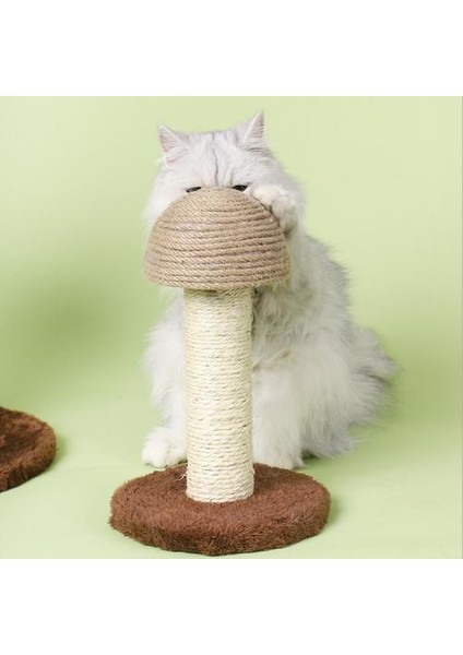 Ahşap Baz Pet Oyuncak Scratch Board Topu Komik Kedi Scratcher | Mobilya ve çizikler (Yurt Dışından) fırsatları