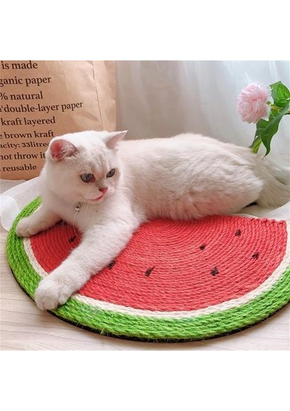 Kedi Yavrusu Scratcher Kurulu Ped Paspaslar Sisal Evcil Karalama Sonrası Uyku Mat Oyuncak Pençeleri Bakım Kediler Mobilya Ürünleri Tedarikçiler | Mobilya ve çizikler (Yurt Dışından) fırsatları