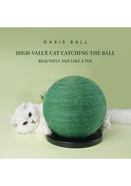 Aşınmaya Dayanıklı Kaktüs Kedi Scratcher Sisal Halat Topu Tırnak Pedi Komik Oyuncak Pet Kedi Ürünleri Pet Scratch Oyunu Tahta Malzemeleri | Mobilya ve çizikler (Yurt Dışından) fırsatları
