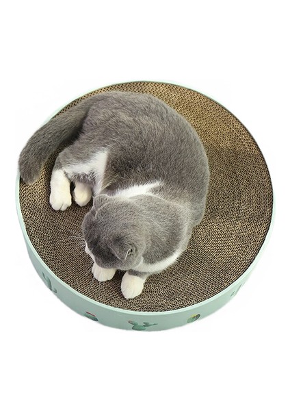 Oluklu Kedi Kurulu Kediler Için Katkıcı Katılım Penileri Mobilya Çizikler Hayvanlar Için Mallar Kedi Oyuncaklar Tırnak Scratcher Bed Kittens Kaktüs | Mobilya ve çizikler (Yurt Dışından)