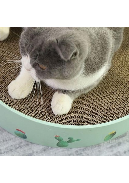 Oluklu Kedi Kurulu Kediler Için Katkıcı Katılım Penileri Mobilya Çizikler Hayvanlar Için Mallar Kedi Oyuncaklar Tırnak Scratcher Bed Kittens Kaktüs | Mobilya ve çizikler (Yurt Dışından) modelleri