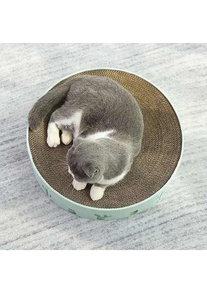 Oluklu Kedi Kurulu Kediler Için Katkıcı Katılım Penileri Mobilya Çizikler Hayvanlar Için Mallar Kedi Oyuncaklar Tırnak Scratcher Bed Kittens Kaktüs | Mobilya ve çizikler (Yurt Dışından) indirimleri