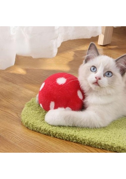 Yavru Sevimli Mantar Kedi Scratcher Board Mobilya Koruyun Pet Sağlık Sisal Mat Pençeleri Bakım Çizik Oyuncak Gönderi | Mobilya ve çizikler (Yurt Dışından) modelleri