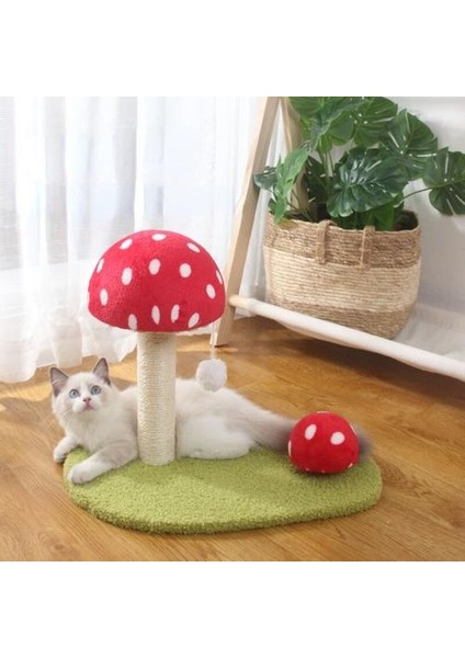 Yavru Sevimli Mantar Kedi Scratcher Board Mobilya Koruyun Pet Sağlık Sisal Mat Pençeleri Bakım Çizik Oyuncak Gönderi | Mobilya ve çizikler (Yurt Dışından) fırsatları