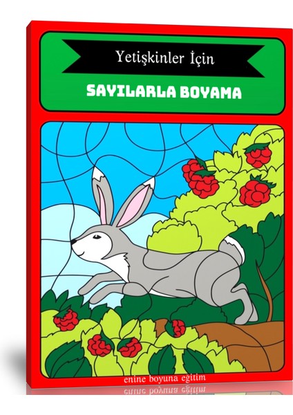 Yetişkinler Için Sayılarla Boyama Kitabı (Ciltli)