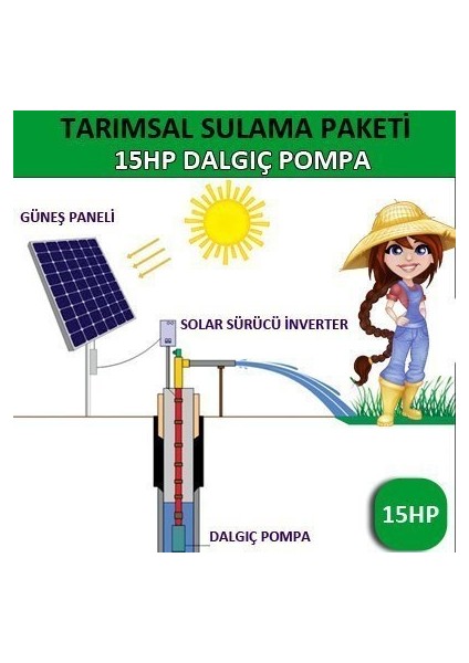 15HP Dalgıç Pompa - Tarımsal Sulama Sistemi