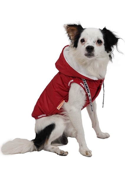 Sport Küçük Köpek Yağmurluğu Kırmızı