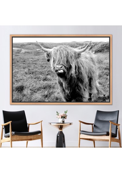 1 Parça Naturel Çerçeveli Kanvas Tablo Longhorn Boğa Kanvas Iskoç Yayla Sığır Kanvas