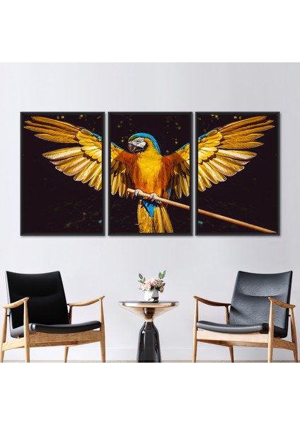 3 Parçalı Siyah Çerçeveli Kanvas Tablo Papağan Kanvas Dekor Hayvan Hediye Kanvas
