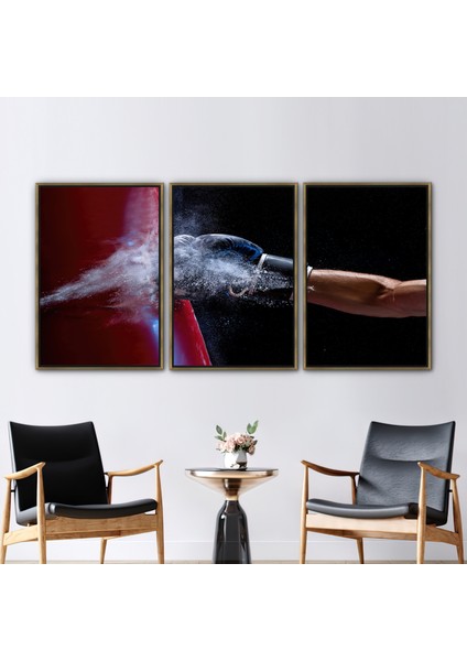 3 Parçalı Gold Çerçeveli Kanvas Tablo Erkek Mağarası Duvar Süsü Boksör Kanvas Baskı