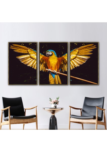 3 Parçalı Gold Çerçeveli Kanvas Tablo Papağan Sanat Renkli Kuş Kanatları 3 Boyutlu Kanvas