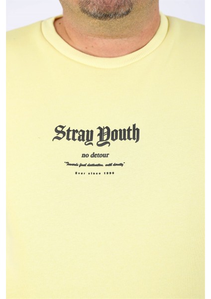 Sweatshirt Bisiklet Yaka Stray South 22730 Sari modelleri