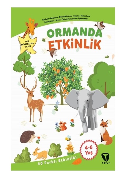 Ormanda Etkinlik